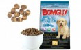 /album/produtos-%c3%a0-venda%3a/a1278885014bomguy-filhotes-jpg/